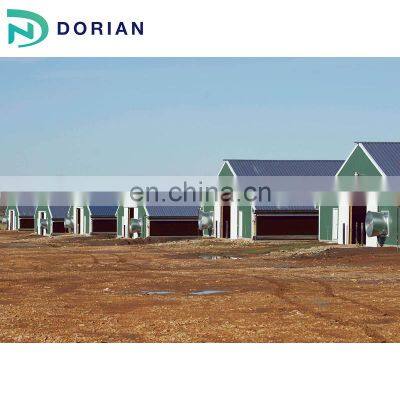 Prefabricated Free Range Chicken Shed House for Sale photo-4