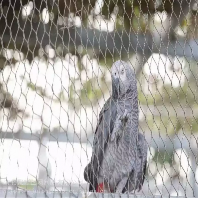 Stainless Steel Zoo Mesh for Zoo Fencing with 3mm Wire Gauge