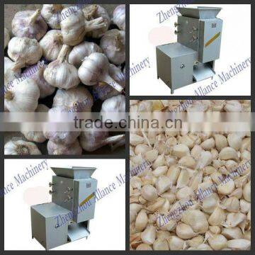 professional manufacturer garlic segmentation machine with low cost