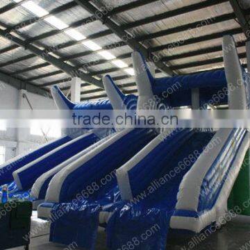 hot water park dolphin water slide with water pool