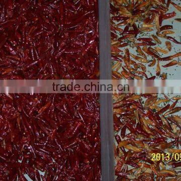 Food Color Sorting Machine From Hefei Angelon Electronics photo-2