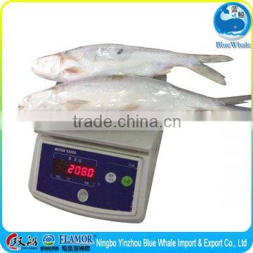 Debone milkfish Healthy Seafood absolute value