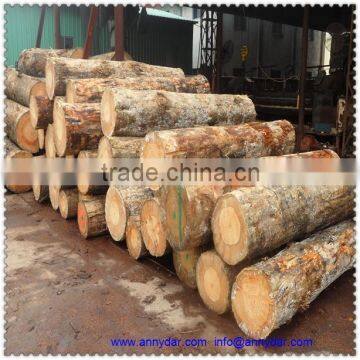 pine wood door lvl logs