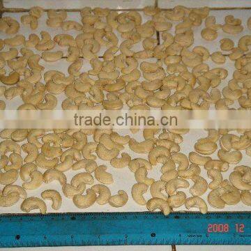 Cashew Nut. Indonesian is famous of its Cashew Nut