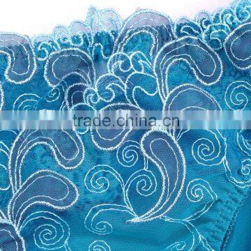 Health Plus Size Sexy Hot Transparent Panty Girls Pics Hot Images photo-2