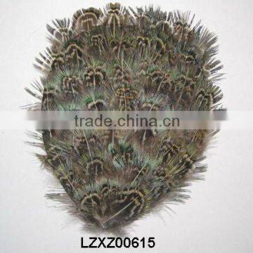 Ringneck Pheasant green blue almond pad LZXZ00615