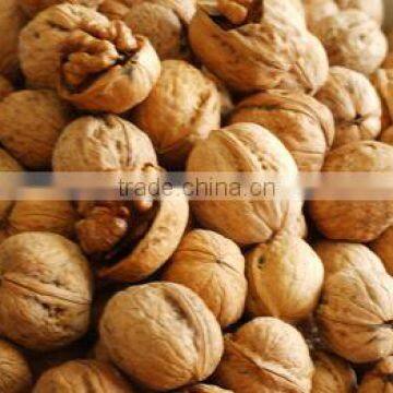 Walnut kernel and shell whole Walnuts for sale