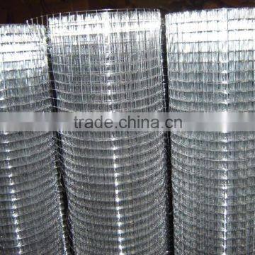 Alibaba express 2016 new products galvanized welded wire mesh factory(iso9001 factory)