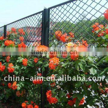 Flower Protecting Expanded Wire Mesh(20 years factory)