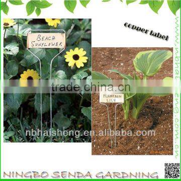 6 Inch Cooper Plant Markers,set of 10