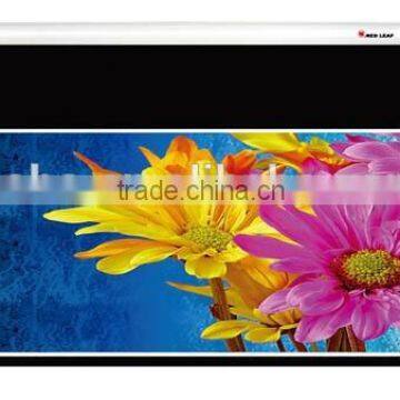 300 inch Large Electric Projection Screen/projector screen