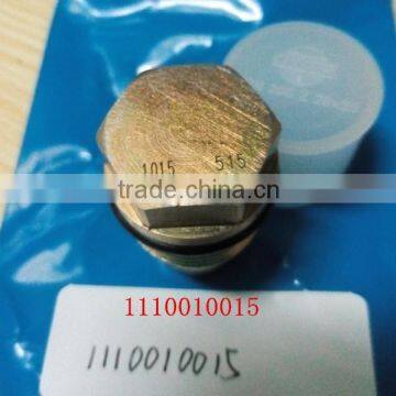 Common rail parts ,Pressure Limiting Valve 1110010015 for diesel