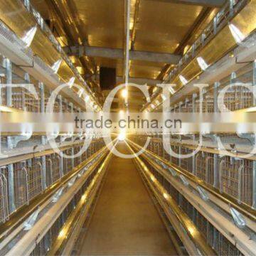 best selling H type galvanized cages feeding equipment for layer farming house