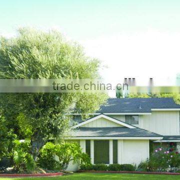 Prefab Steel Structure Wooden Villa//luxury Villa//light Steel Villa