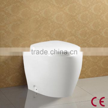 Floor Standing White Glazed Ceramic CE Water Closet