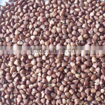 Chinese Non Gmo New Crop Roasted Buckwheat Kernel for Georgia Wholesale photo-2