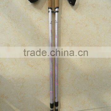 Nordic Walking Stick With Anti-shock System
