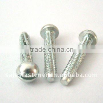 Thread Cutting Screw DIN7513