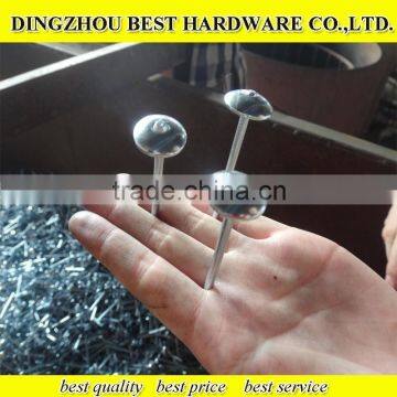 Umbrella Head Roofing Nail photo-1