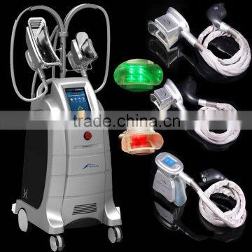 Local Fat Removal Hot Sale Factory Price Cryolipolysis Machine For Salon Clinc Home Use Fat Reduction