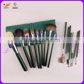 16 Piece Green Handled Makeup Brush Set with Green Case