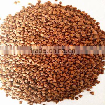 2016 crop ---Roasted buckwheat kernels