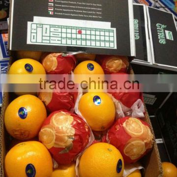 New Year 2017 Special Offer -( all types of oranges)