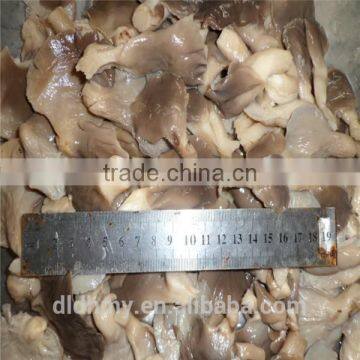 boiled white oyster mushroom