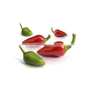 Paprika Extract