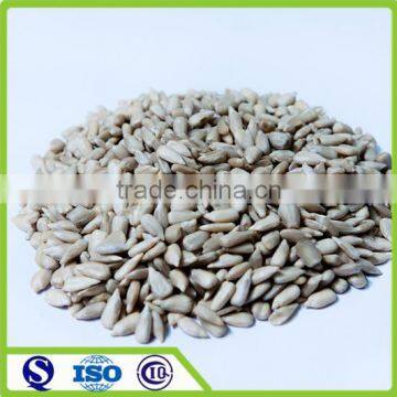 2015 good price peeled sunflower seeds kernel