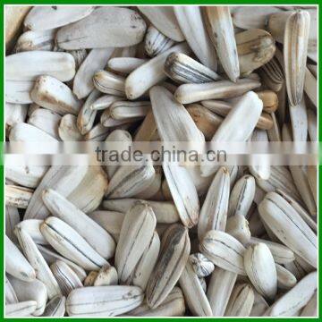 Sale China Bulk White Striped Sunflower Seeds For Human Consumption photo-2