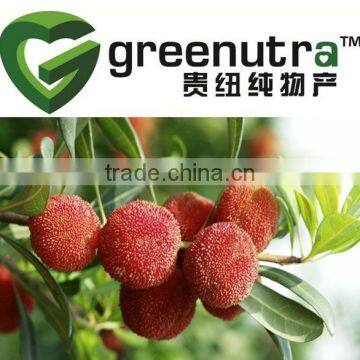 Bayberry Extract