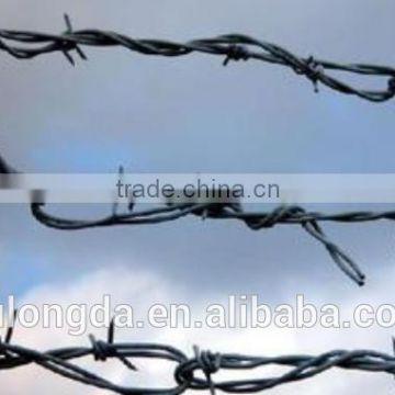 galvanized razor barbed wire/the gi wire