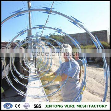 Low Price Concertina Razor Wire With 450mm Coil photo-5