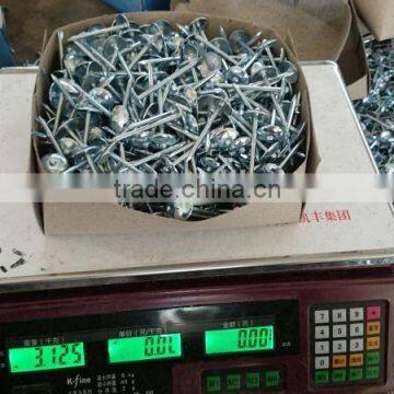 Electro Galvanized 2.5 Inch Screw Shank Twisted Roofing Nail photo-6