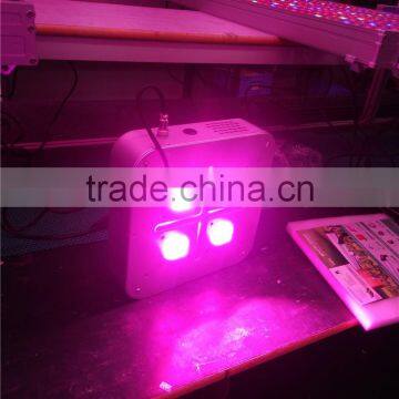 Indoor 300W COB LED grow light to replace apollo led grow lights