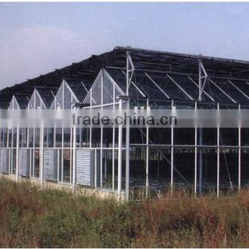 industrial size hot sale commercial glass greenhouse for vegetables