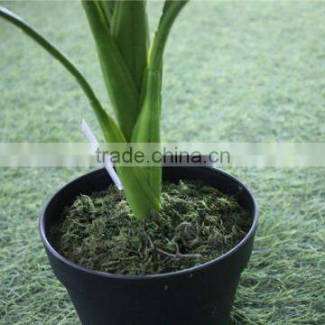 Brand Name Artificial Bonsai Plants Artificial Wild Taro Bonsai Decor photo-3