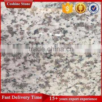 China Bianco Sardo Granite Countertop With Lower Price photo-4