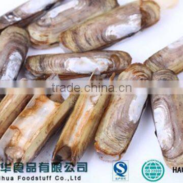 Season for Sale Frozen Razor Clam in Fresh Seafood