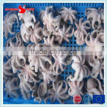 Frozen Baby Otopus IQF Gutted photo-4