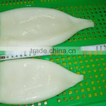 EU Standard Pacific Squid Tube photo-4