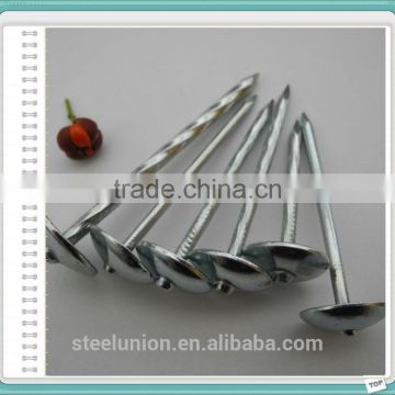 galvanzied roofing nails /umbrella head roofing nails