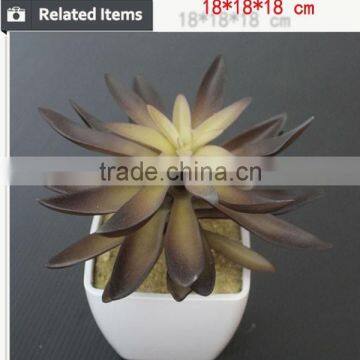 Hot Sale Artificial Potted Plants Chinese Succulent Plants photo-5
