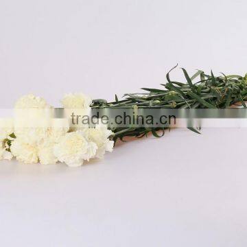 Natural Fresh Cut Flowers 20 Stems/Bundle Carnation Flower Wholesale From Yunnan,China