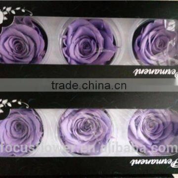 Red Preserved Rose A Grade 6 to 7 cm Bud With Wholesale Price photo-4
