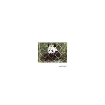 Sell Stainless Steel Wire Chain Link Fence