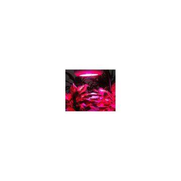 90W UFO PLANT GROW LIGHT photo-3