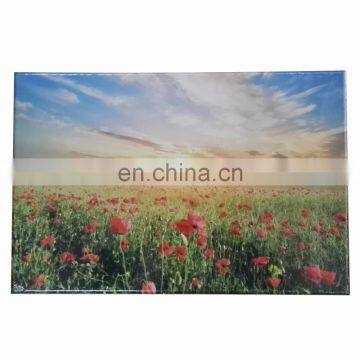 42x28cm Landscape Picture Stretched Canvas