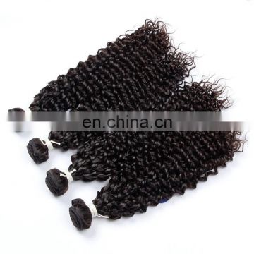 Factory price free sample 4pcs/Lot curly 100% human hair virgin Malaysian hair